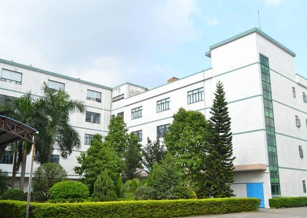 注冊(cè)公司的條件