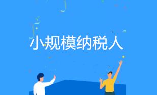 小規(guī)模納稅人所得稅稅率