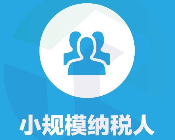 小規(guī)模納稅人的認(rèn)定標(biāo)準(zhǔn)是什么