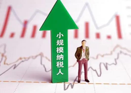 小規(guī)模納稅人開專票需要交稅嗎