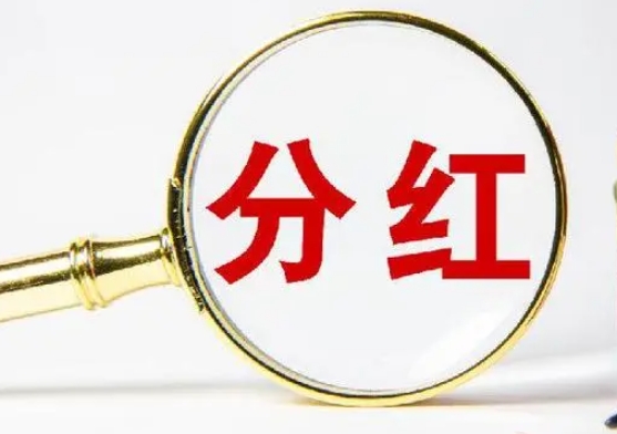 股權(quán)怎么分紅多久分一次